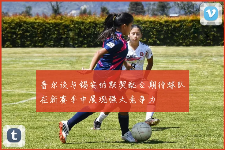 普尔谈与锡安的默契配合期待球队在新赛季中展现强大竞争力