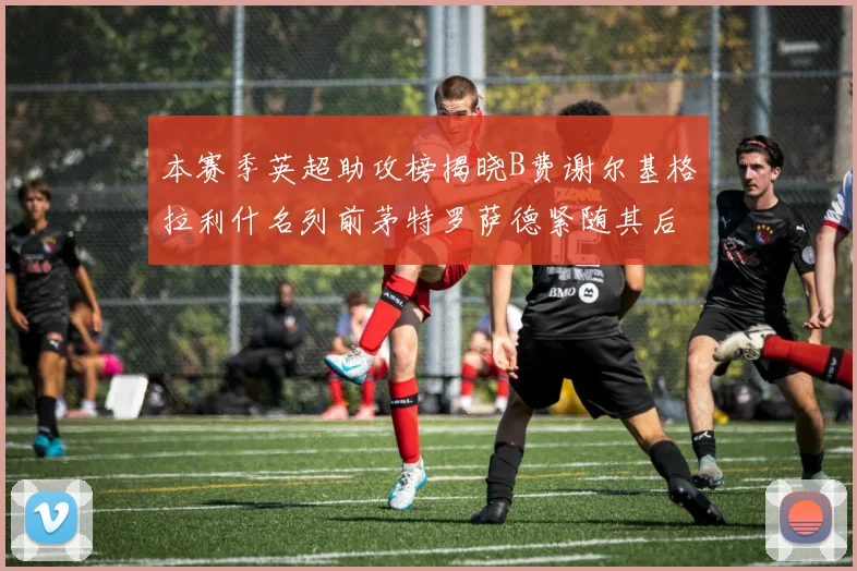 本赛季英超助攻榜揭晓B费谢尔基格拉利什名列前茅特罗萨德紧随其后