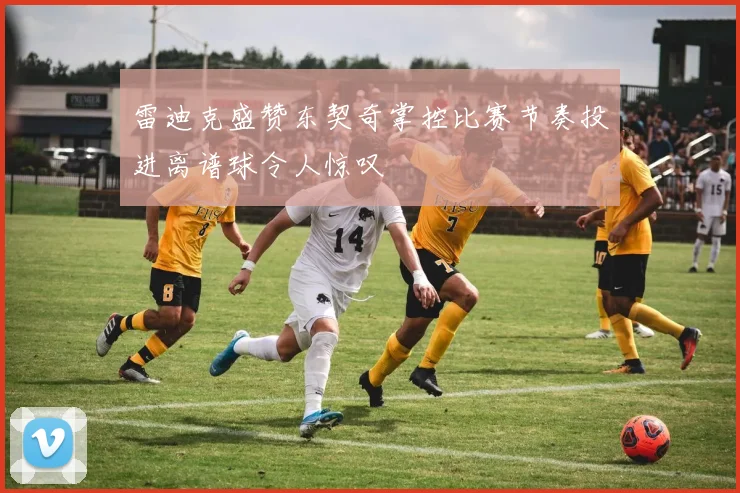 雷迪克盛赞东契奇掌控比赛节奏投进离谱球令人惊叹